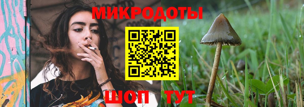 Псилоцибиновые грибы MAGIC MUSHROOMS Железногорск