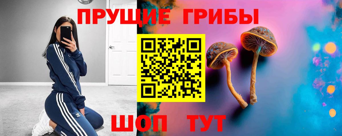 Железногорск  Псилоцибиновые грибы Magic Shrooms  Вход с VPN 